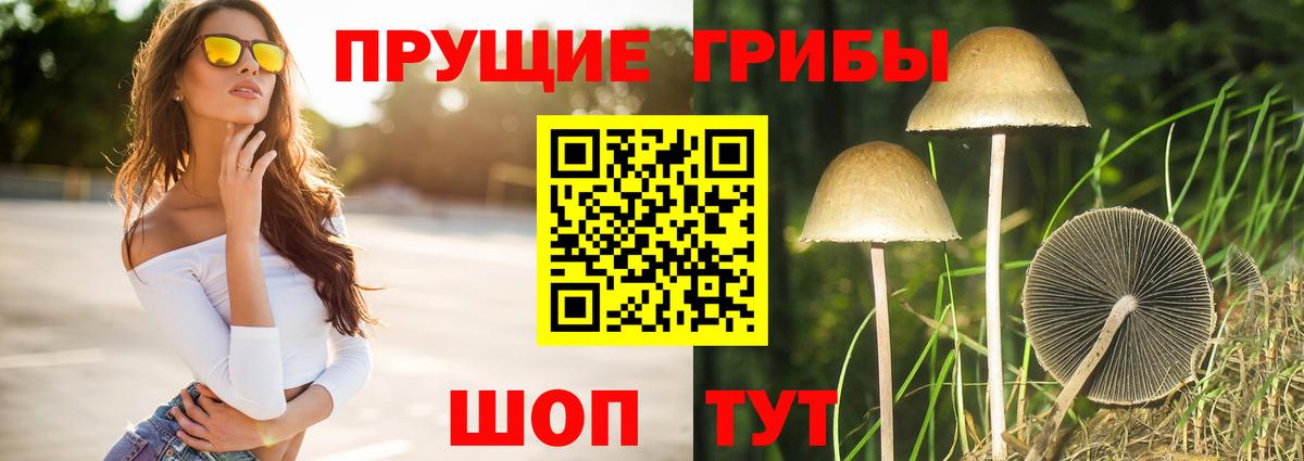 Донецк  Галлюциногенные грибы мицелий  Вход с VPN 